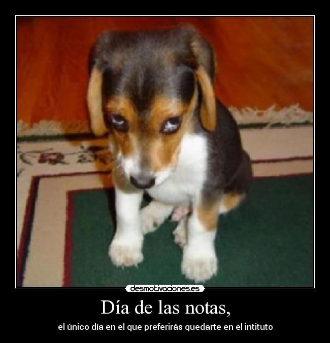 Día de las notas, - 