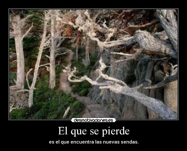 El que se pierde - es el que encuentra las nuevas sendas.