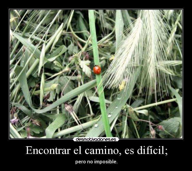 Encontrar el camino, es difícil; - 