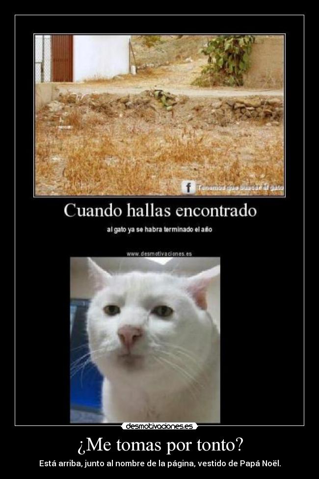 ¿Me tomas por tonto? - Está arriba, junto al nombre de la página, vestido de Papá Noël.