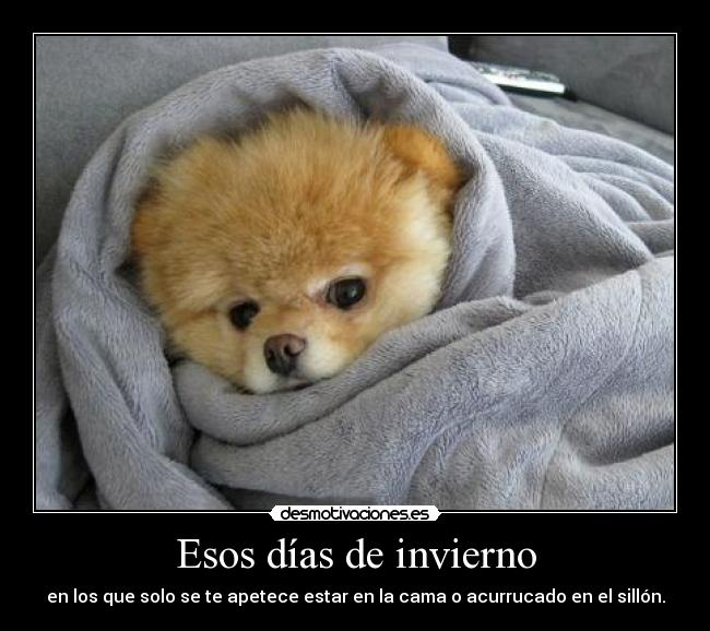 carteles dias invierno brrrr mommi lool asjidasjdasio desmotivaciones