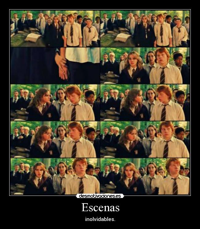 carteles hermione and ronald desmotivaciones
