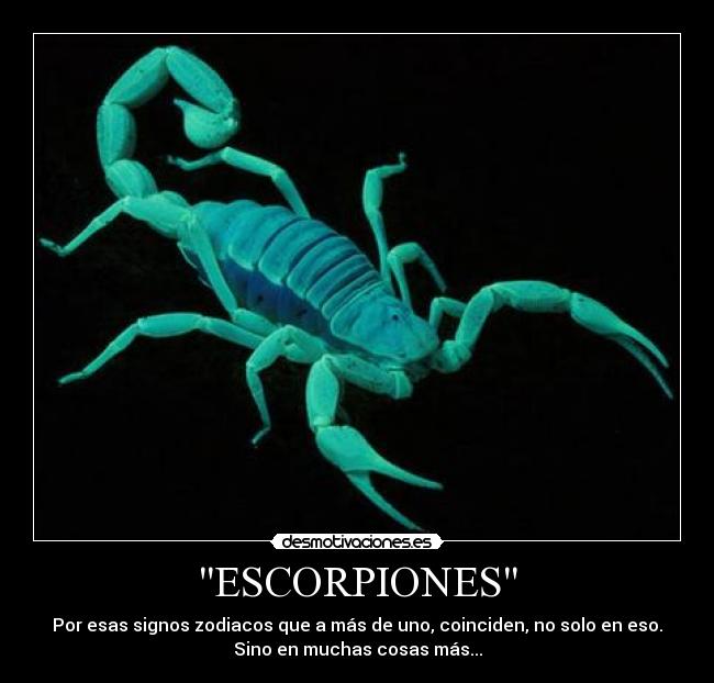 ESCORPIONES - Por esas signos zodiacos que a más de uno, coinciden, no solo en eso.
Sino en muchas cosas más...