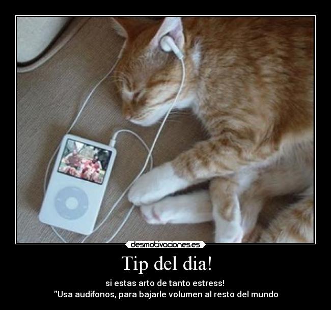 Tip del dia! -