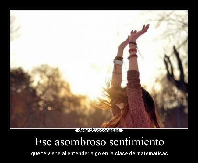 Ese asombroso sentimiento - que te viene al entender algo en la clase de matematicas