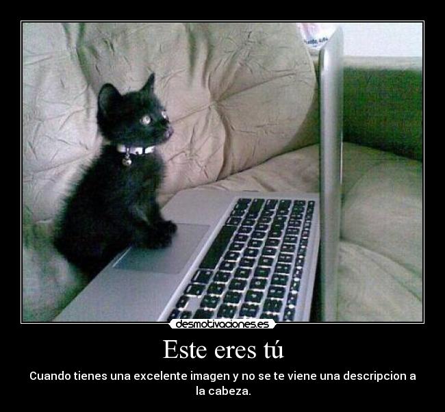 carteles gato papi adrian desmotivaciones