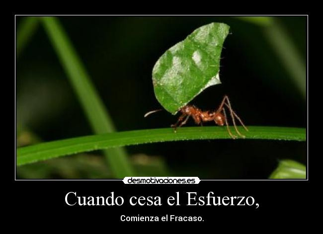 Cuando cesa el Esfuerzo, - 