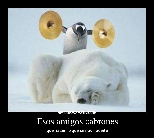 Esos amigos cabrones - que hacen lo que sea por joderte