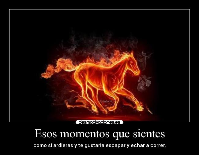 Esos momentos que sientes - 