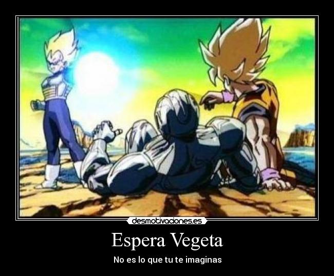 Espera Vegeta - 