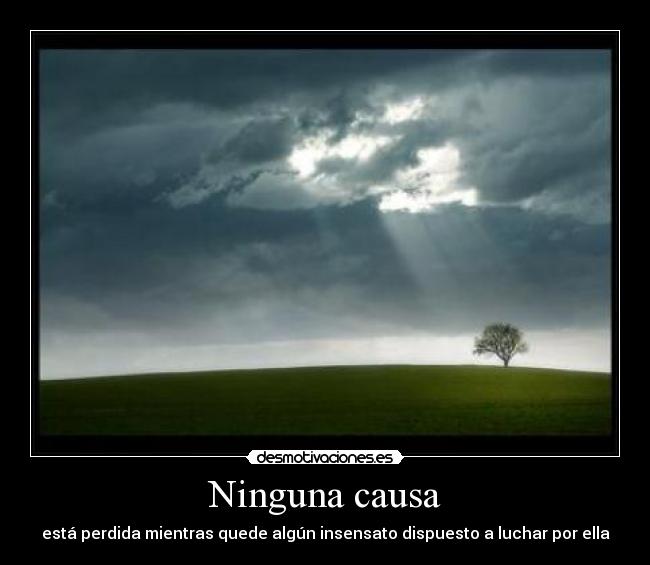 carteles gran verdad desmotivaciones