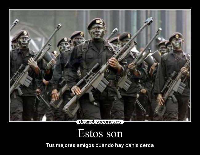 Estos son - Tus mejores amigos cuando hay canis cerca