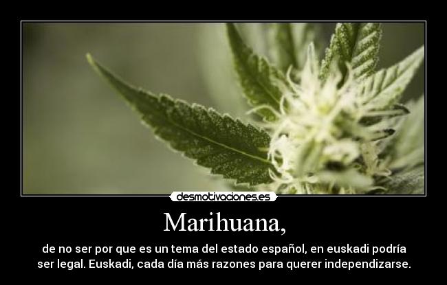 carteles asdfgjk desmotivaciones