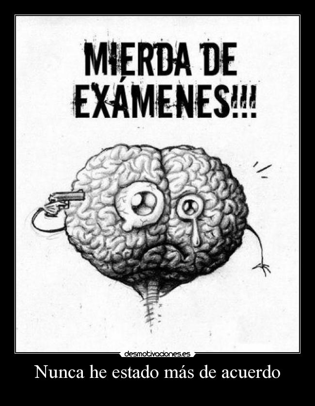 Nunca he estado más de acuerdo - 