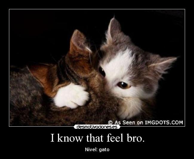 carteles trolololo trolololol desmotivaciones