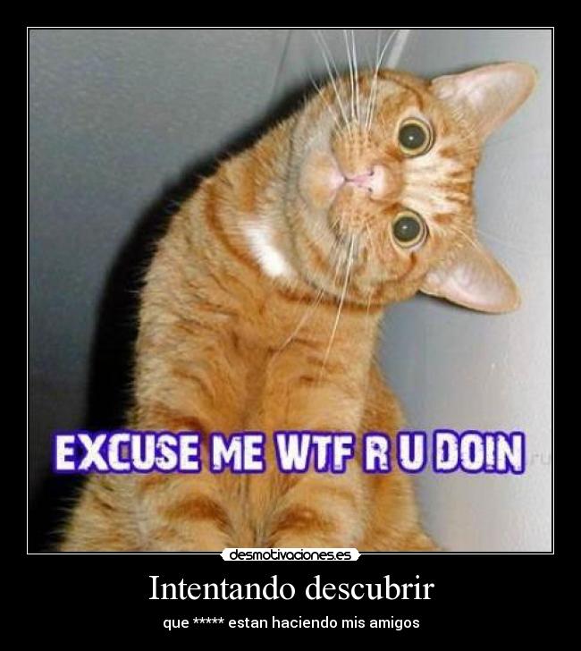 Intentando descubrir - que ***** estan haciendo mis amigos