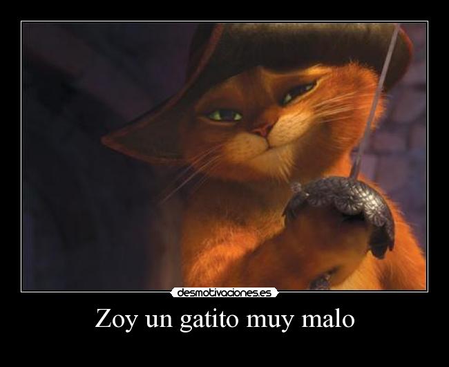 Zoy un gatito muy malo -