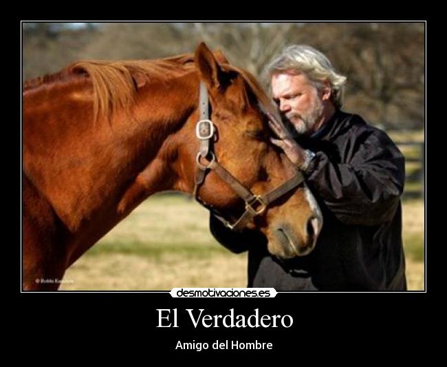 El Verdadero - Amigo del Hombre