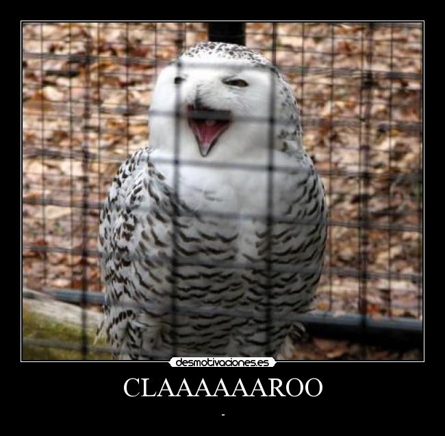 CLAAAAAAROO - 