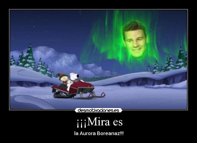 ¡¡¡Mira es - la Aurora Boreanaz!!!