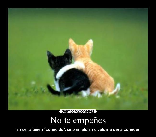 No te empeñes - en ser alguien conocido, sino en algien q valga la pena conocer!