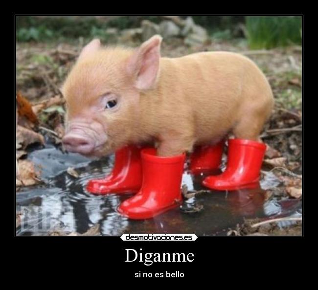 Diganme - si no es bello