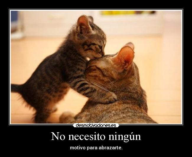 No necesito ningún -