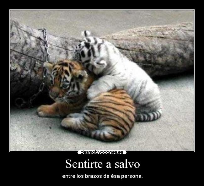 Sentirte a salvo - 