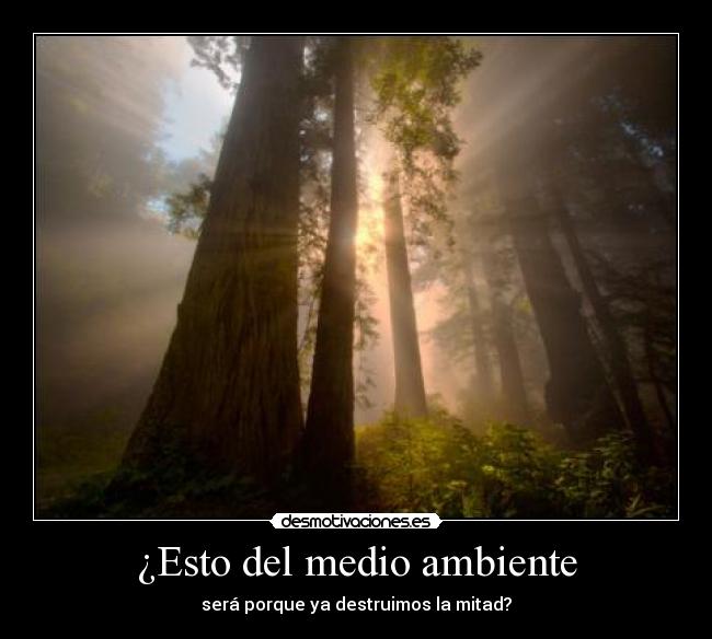 ¿Esto del medio ambiente - 