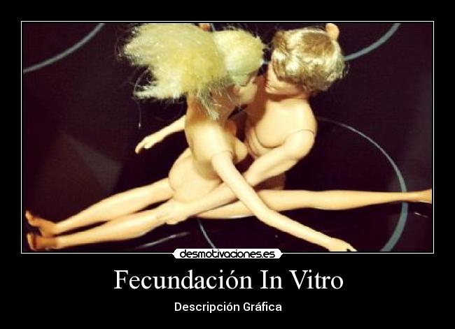 Fecundación In Vitro - 