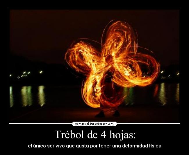 Trébol de 4 hojas: - 