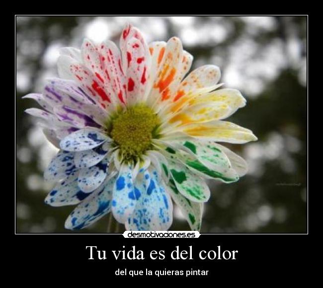 Tu vida es del color -