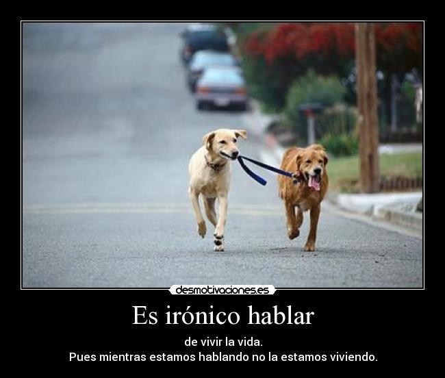 carteles nart ironia puedes saber como vivir vida estas explicando resto desmotivaciones