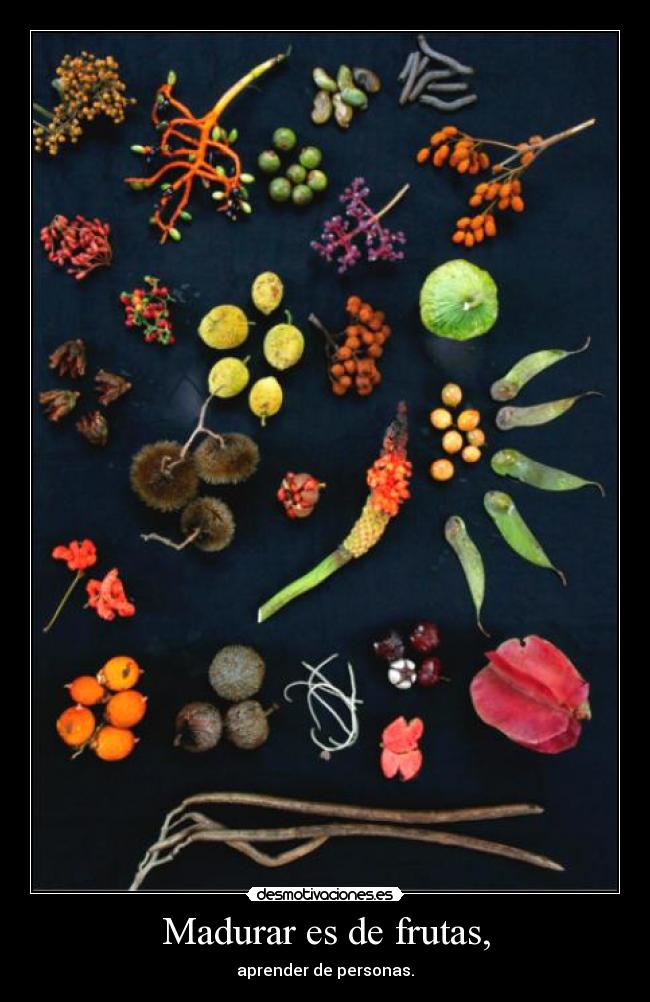 Madurar es de frutas, - aprender de personas.