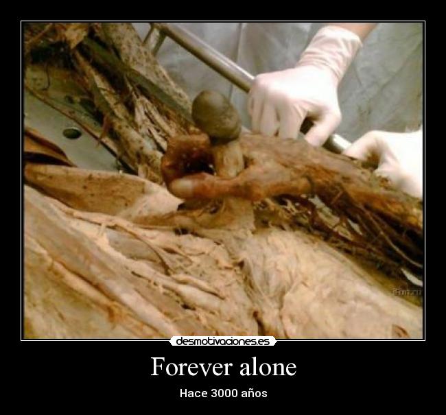 carteles forever alone desmotivaciones