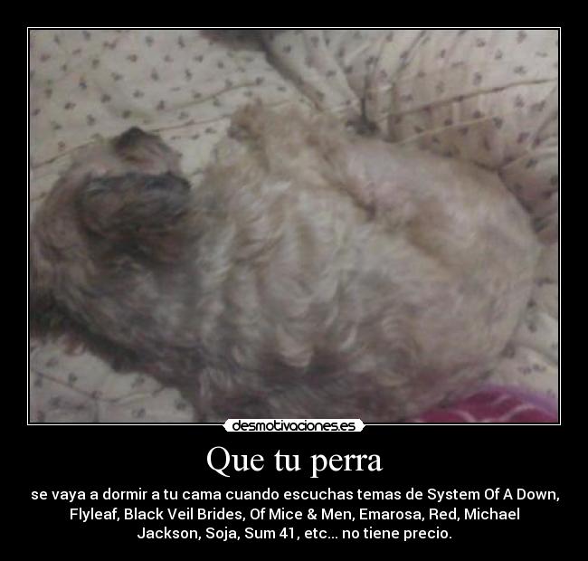 carteles astana musica perra sabe reconocer buena musica juas juas equis desmotivaciones