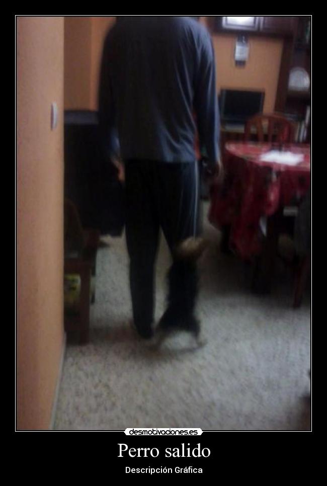 Perro salido - Descripción Gráfica