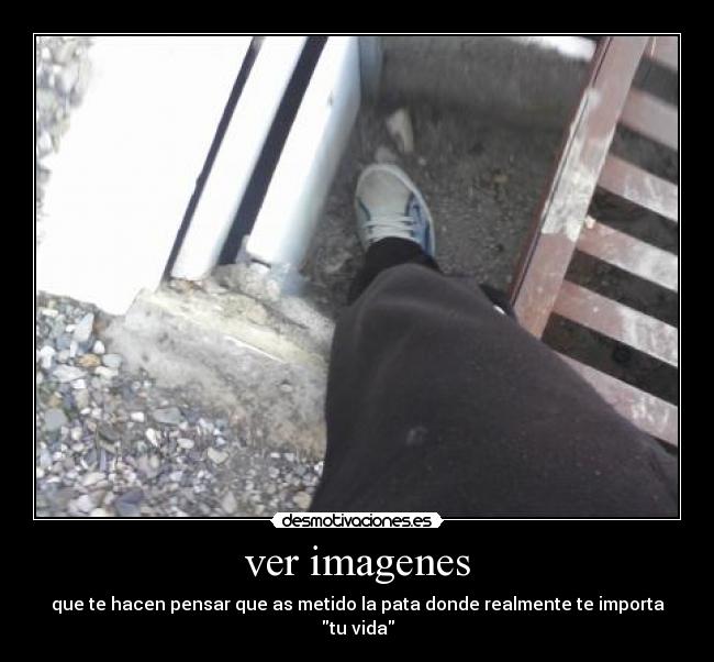 ver imagenes -