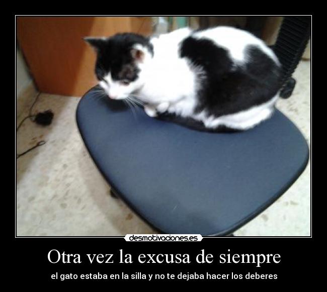 Otra vez la excusa de siempre - el gato estaba en la silla y no te dejaba hacer los deberes