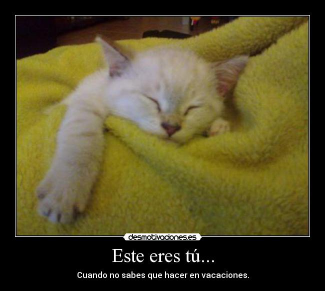 carteles sharolgarcia16 desmotivaciones