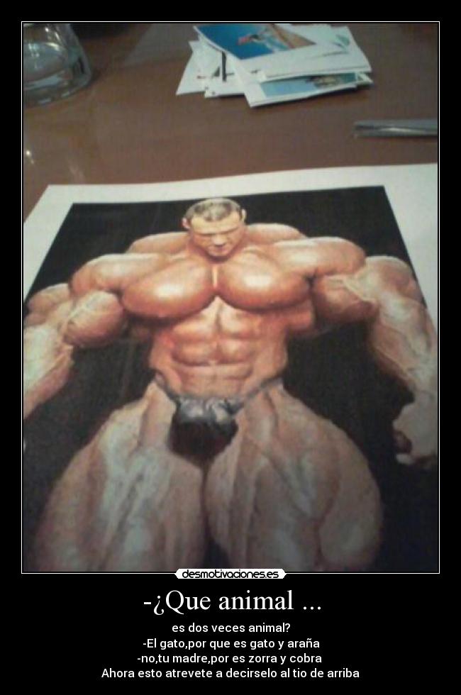 -¿Que animal ... - es dos veces animal?
-El gato,por que es gato y araña
-no,tu madre,por es zorra y cobra
Ahora esto atrevete a decirselo al tio de arriba