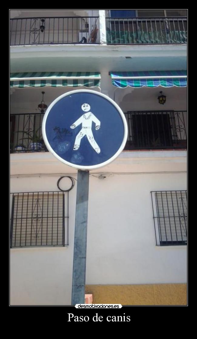 Paso de canis - 