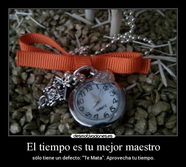 El tiempo es tu mejor maestro -