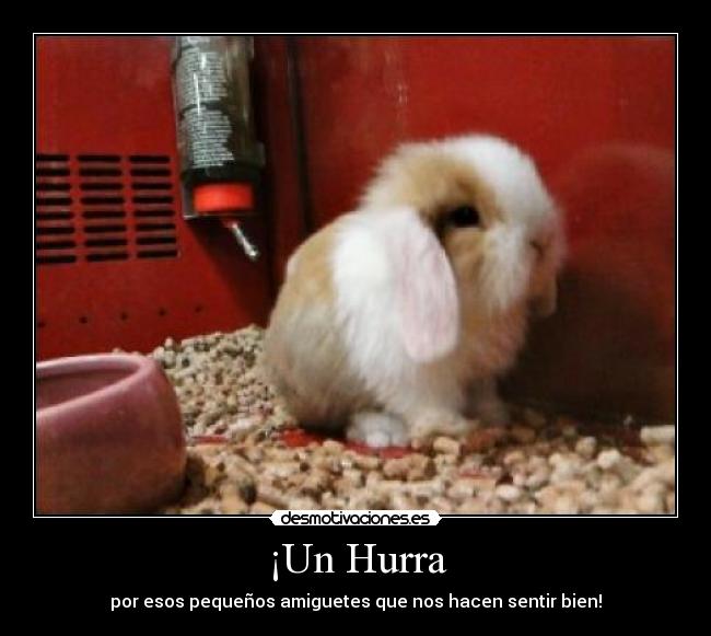 ¡Un Hurra - 