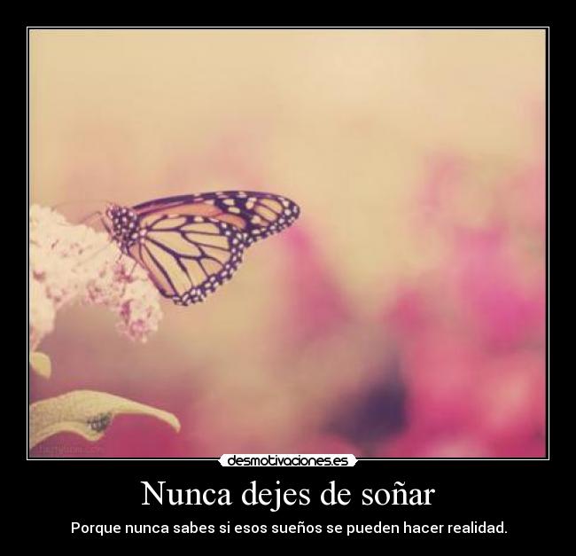 Nunca dejes de soñar -