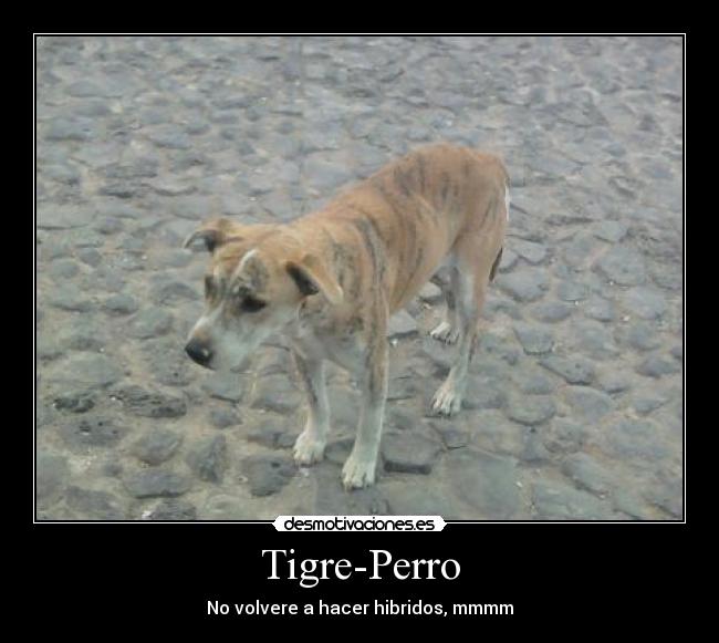 carteles todos desmotivaciones