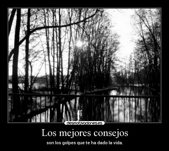 Los mejores consejos - son los golpes que te ha dado la vida.