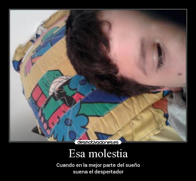 carteles despertador desmotivaciones