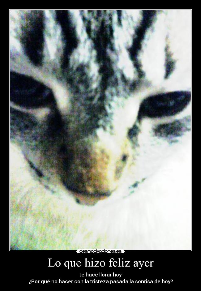 Lo que hizo feliz ayer -