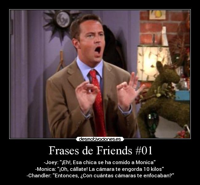 Frases de Friends #01 - -Joey: ¡Eh!, Esa chica se ha comido a Monica 
-Monica: ¡Oh, cállate! La cámara te engorda 10 kilos 
-Chandler: Entonces, ¿Con cuántas cámaras te enfocaban?